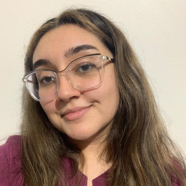 Babysitter in Port Montt: Francisca