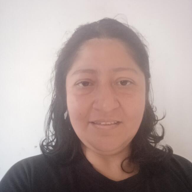 Niñera en Ibagué: Norma constanza