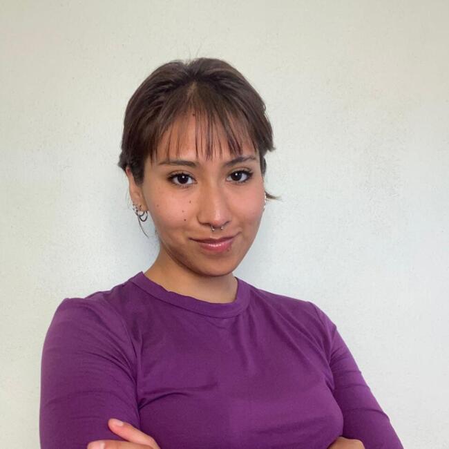 Niñera en Pachuca: Diana