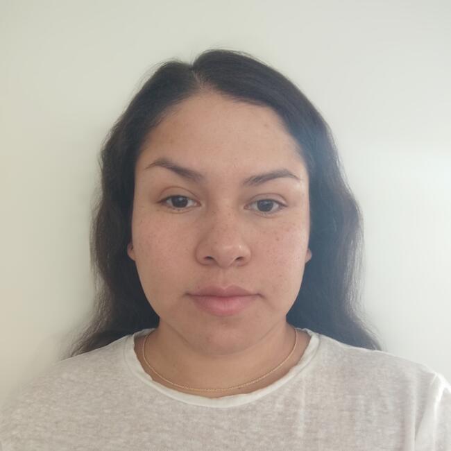 Niñera en Alto Hospicio: Dina