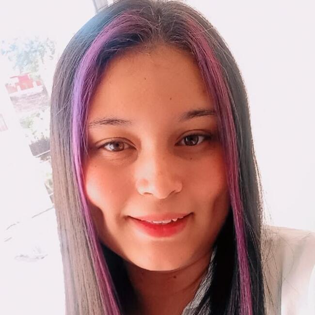 Babysitter in Viña del Mar: Dayana