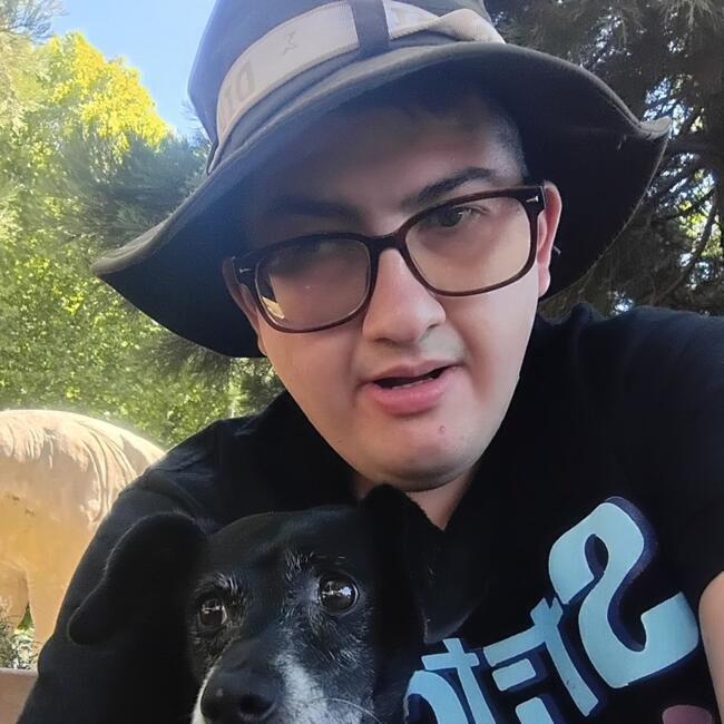 Babysitter in Concepción: Sebastian Alonso