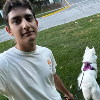 Baby-sitter in Newmarket: Amir