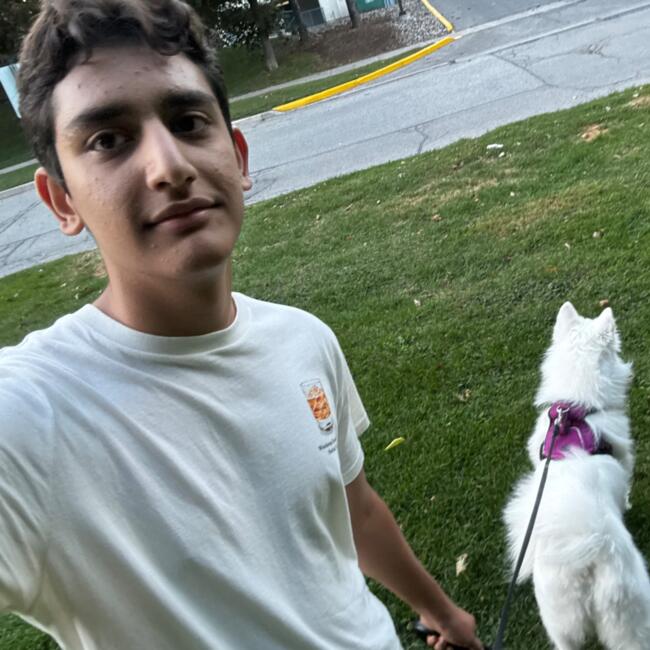 Baby-sitter in Newmarket: Amir