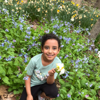 Babysitter Brooklyn: Amal