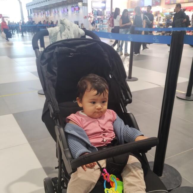 Babysitting job in Miraflores District: Liz