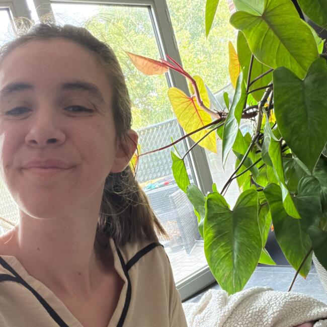 Babysitter in Brasschaat: Joni