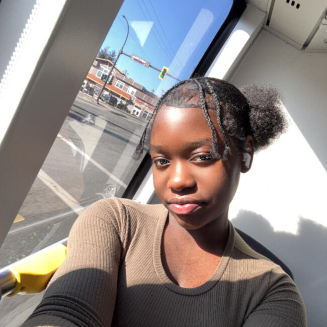 Baby-sitter in Langford: Blu