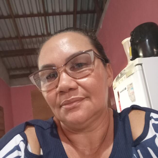 Babysitter in Santarém: Elcilane