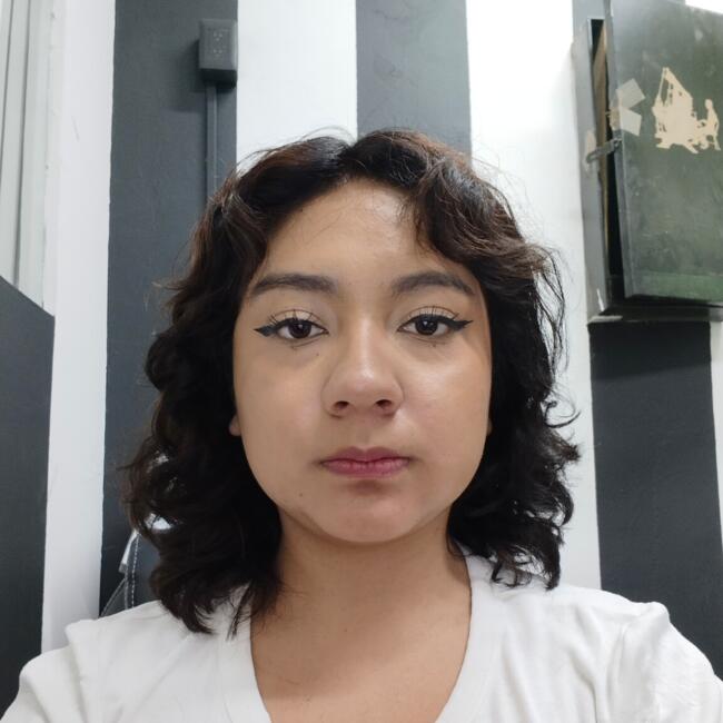 Babysitter in Pachuca: Karen