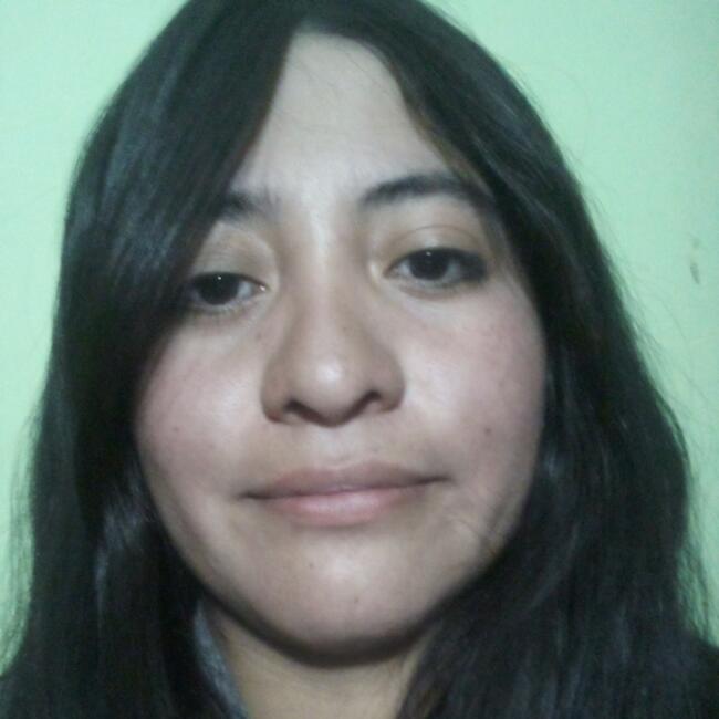 Niñera en San Salvador de Jujuy: Soledad Marisol Tinte