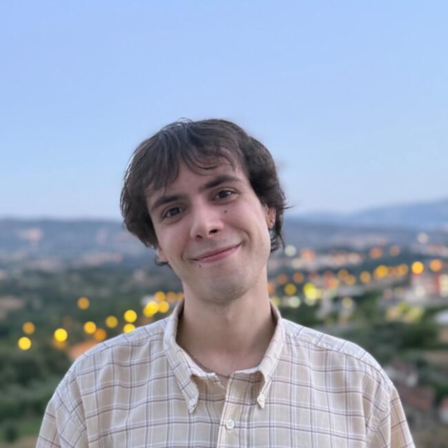 Babysitter em Covilhã: Tiago