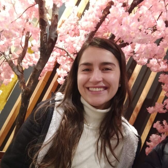 Niñera en Santiago de Chile: Yesennia