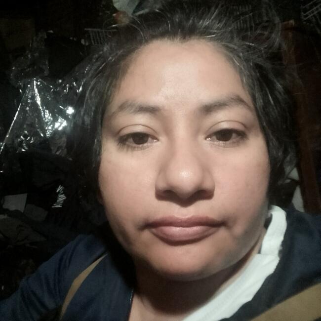 Niñera en Aguascalientes: Norma