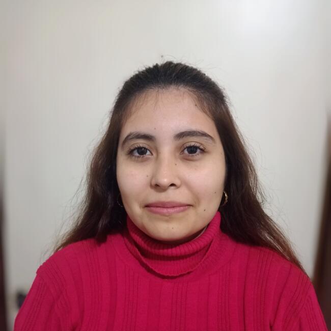 Niñera en Merlo: Milagros