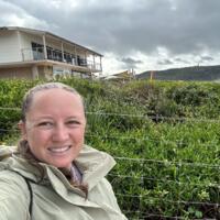 Bec