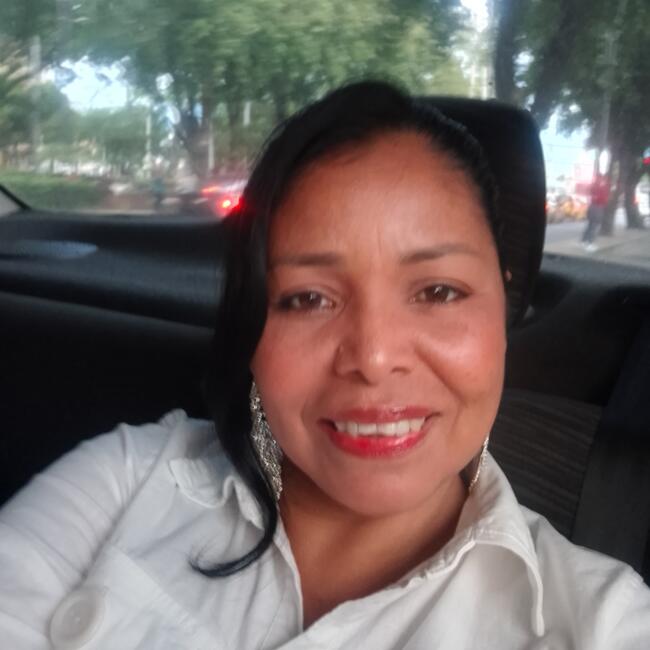 Babysitter in Santiago de Cali: Dorelis