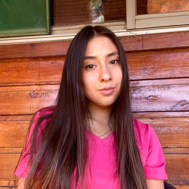 Babysitter in Chillán: Tamara