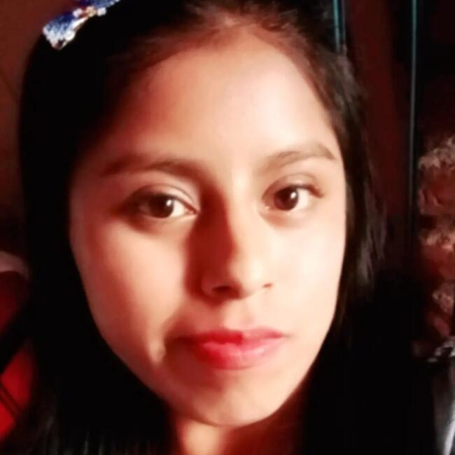 Niñera en Santiago de Querétaro: Yenny