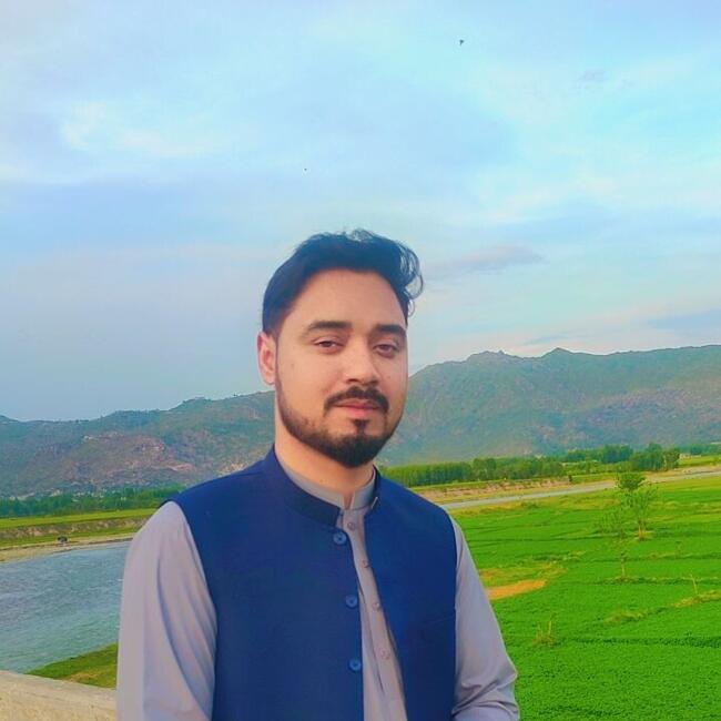 Babysitting job in Mardan: Asad