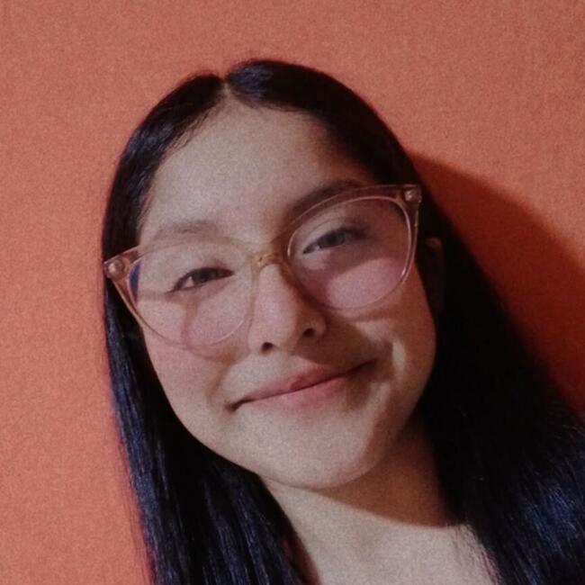 Niñera en Comas (Departamento de Lima): Sandy