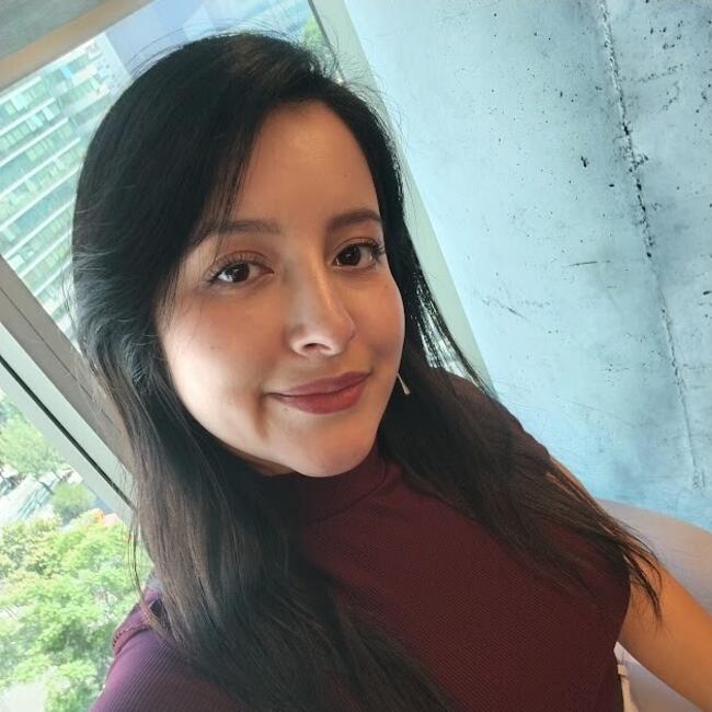 Babysitter in Santiago: Jacqueline andrea