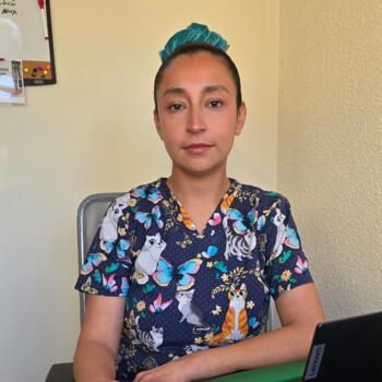 Babysitter La Serena: Mical