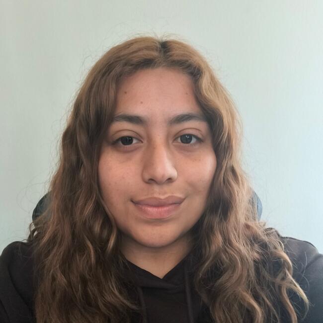 Babysitter in Santiago: Javiera