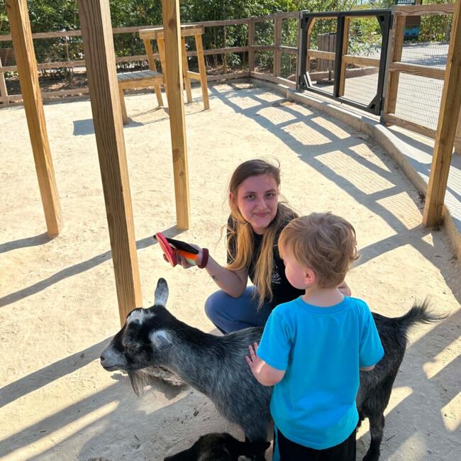 Babysitter in Mesquite: Jordan