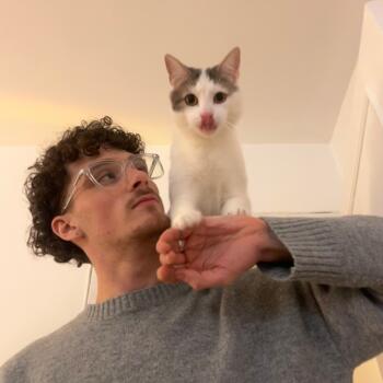 Babysitter in Lille: Phileas