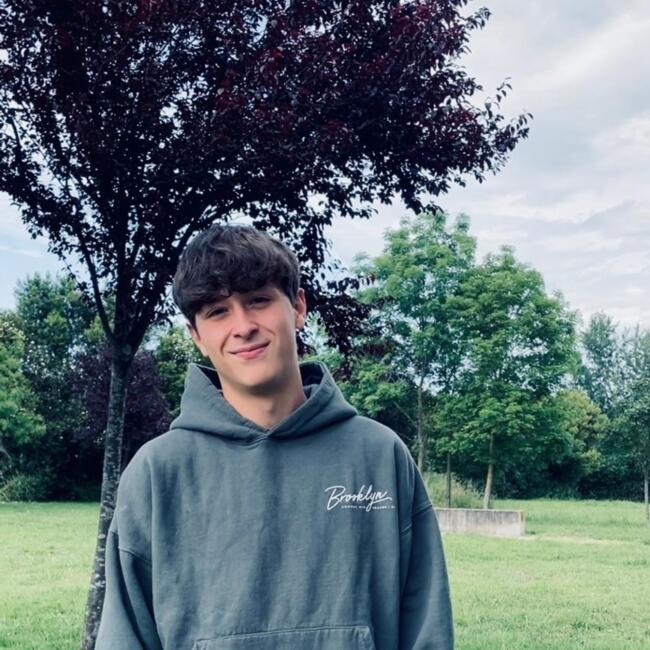 Babysitter in Mieres (Principado de Asturias): Pelayo