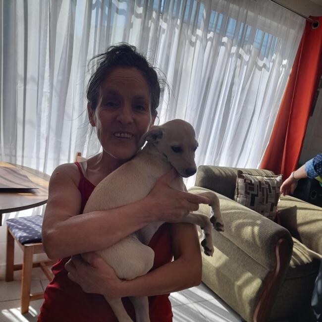 Babysitter in San Fernando: Rosa