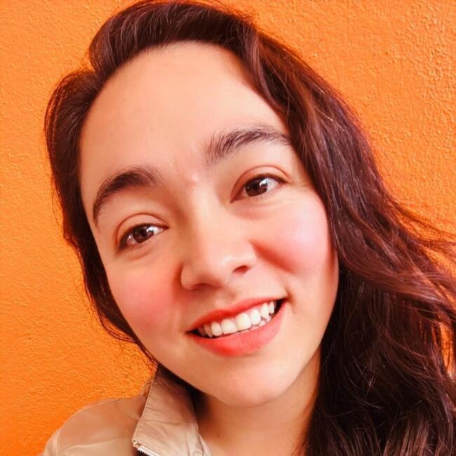 Babysitting job in San Luis Potosí City: Guadalupe