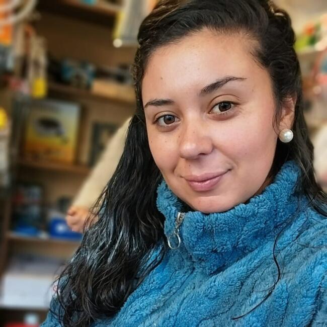 Babysitting job in Copiapó: ALEJANDRA