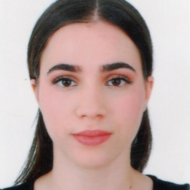 Babysitter in Besançon: Wissam