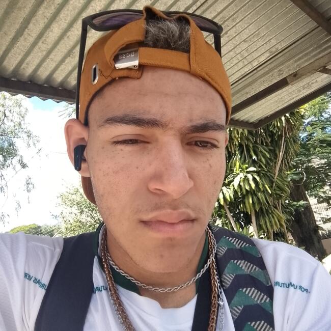 Babysitter in Viamão: Leonardo