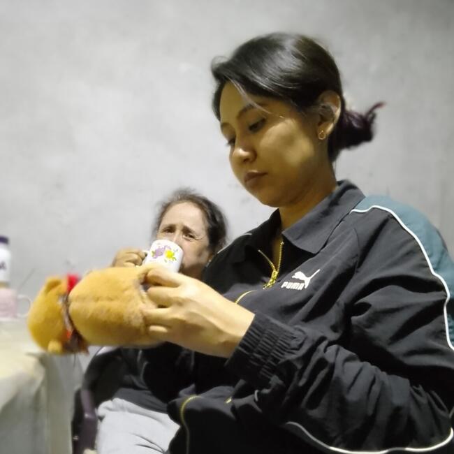 Trabajo para niñera en Ate: Vania
