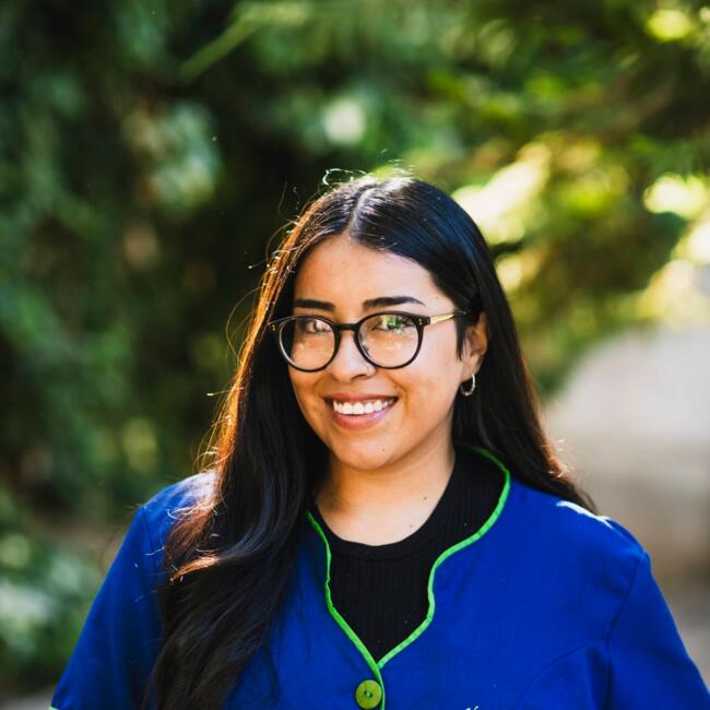 Babysitter in San Esteban: Sofia