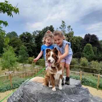Babysit job in Sint-Niklaas: babysit jobs Koen