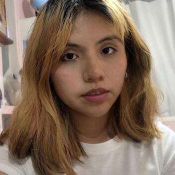 Babysitter in Arequipa: Majesten