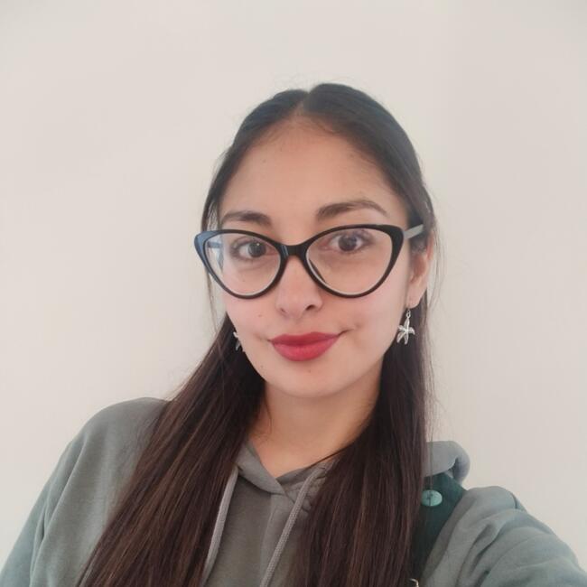 Babysitter in La Serena: Fernanda