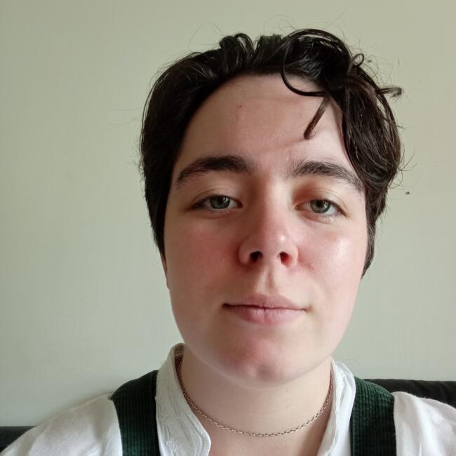 Babysitter in Bouguenais: Alex