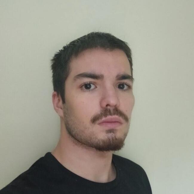 Babysitter in Viseu: Alexandre