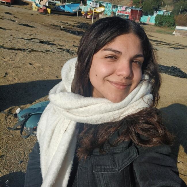 Babysitter in Valparaíso: Inti