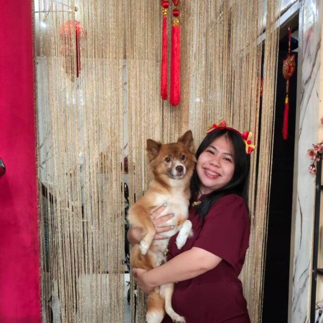 Babysitter in Tangerang: Dessy