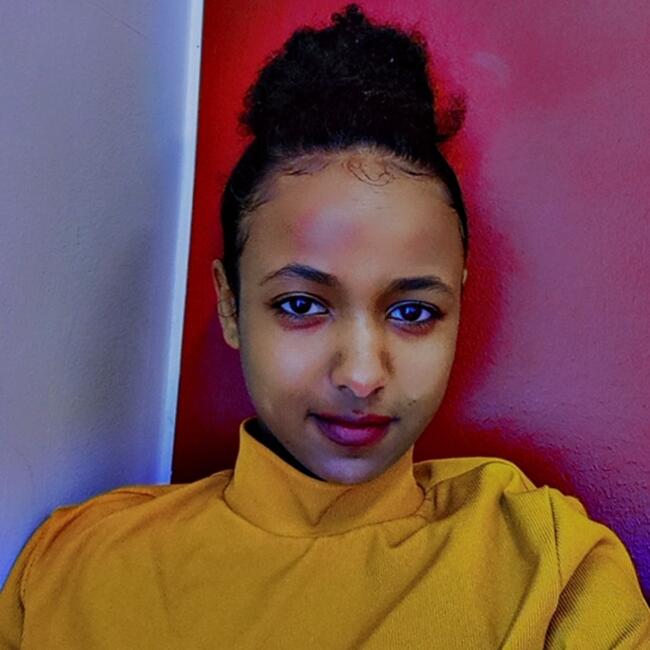 Babysitter in Nyköping: Salem