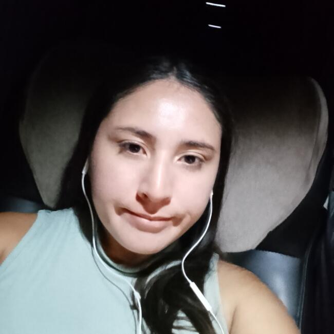 Babysitter in La Pintana: Karen