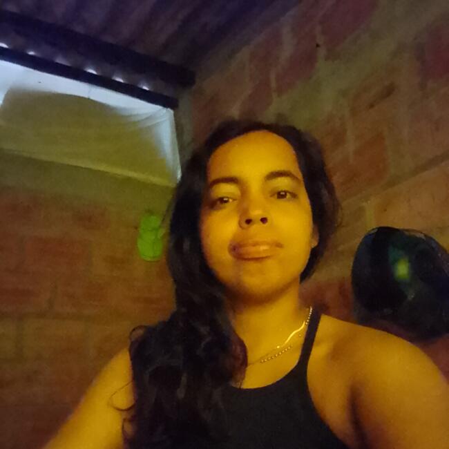 Babysitter in San Nicolás de los Garza: Brenda