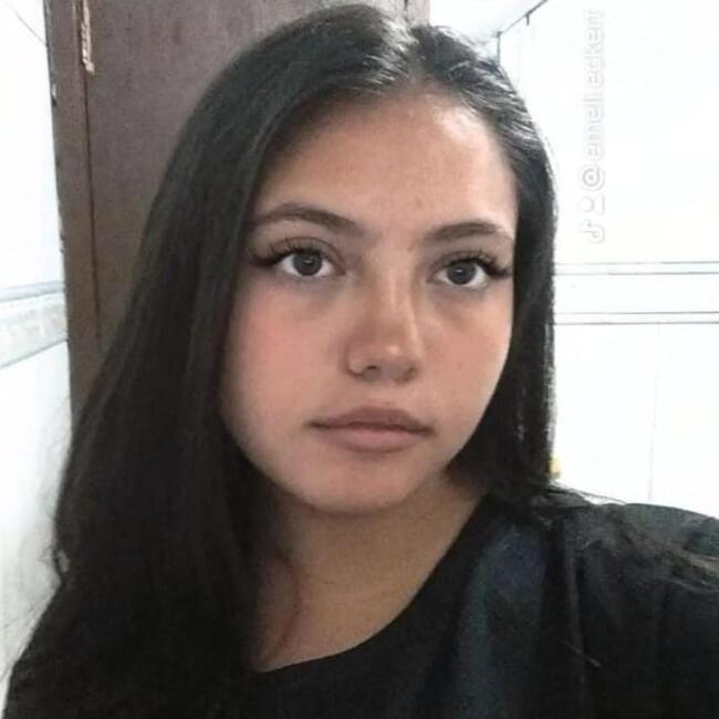 Babysitter in Santa Helena (Paraná): Emeli eckert