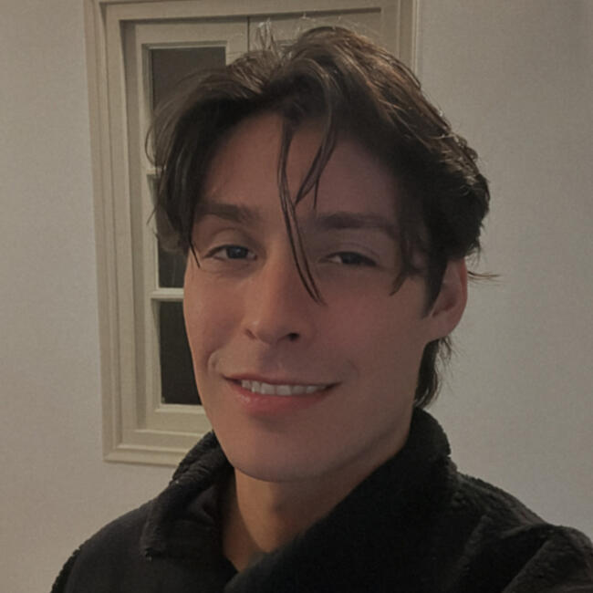 Babysitter in La Serena: Benjamin Nuñez